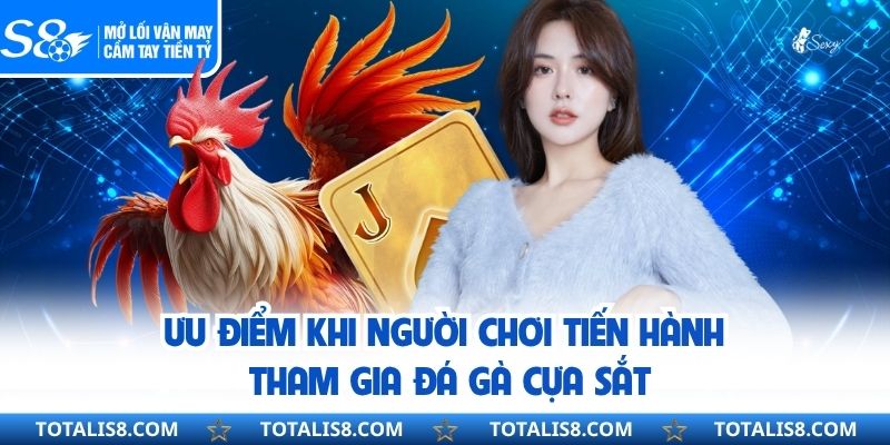 Ưu điểm khi người chơi tiến hành tham gia đá gà cựa sắt